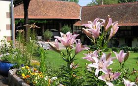 Le Gite Des Ecureuils